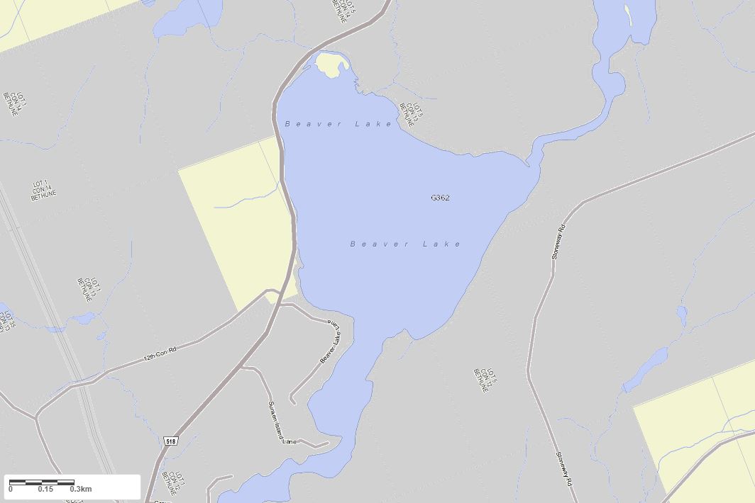 Crown Land Map of Beaver Lake in Municipality of Magnetawan and the District of Parry Sound